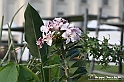VBS_6595A - FLOREAL Ottobre 2022 - Tre giorni di fiori, piante e bellezza